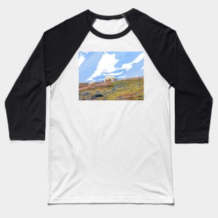 Polar bear and cub Baseball T-Shirt